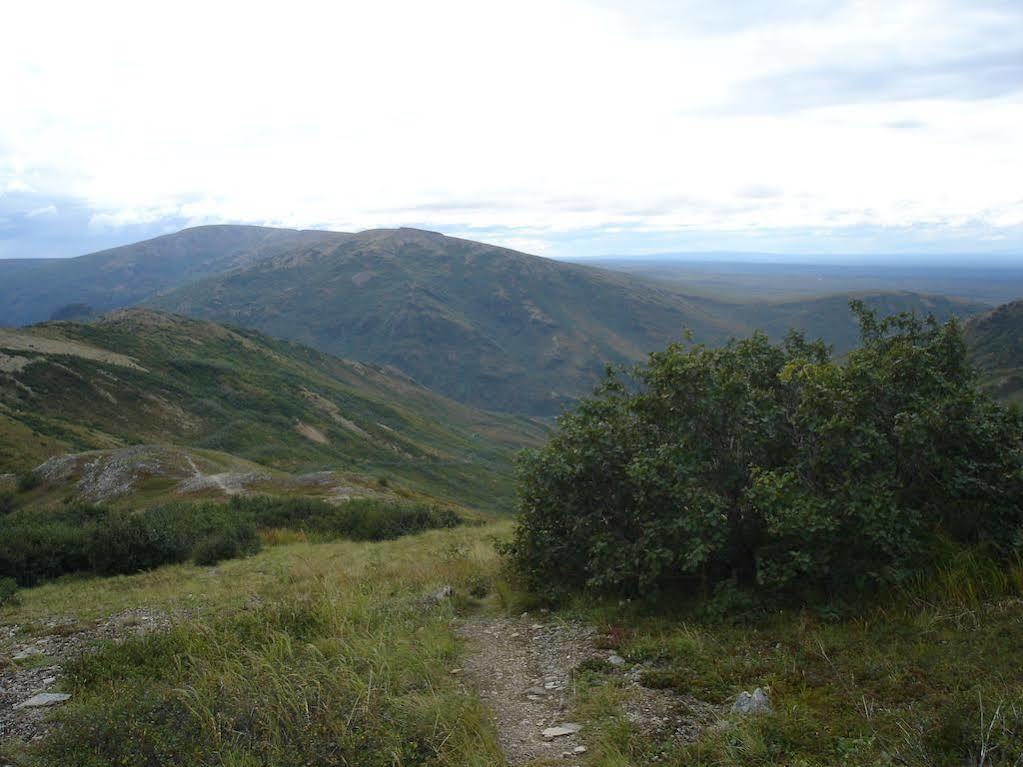 Denali Backcountry Lodge 외부 사진